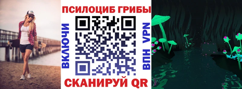Псилоцибиновые грибы мицелий  omg ссылка  Кизляр  где продают наркотики 